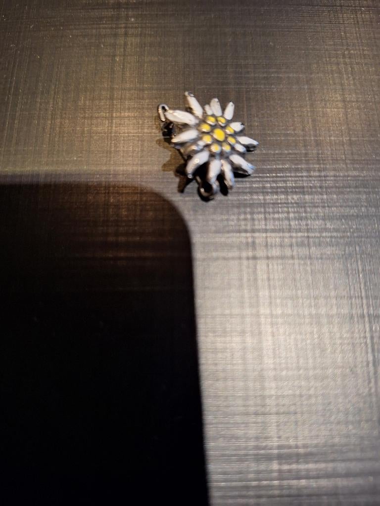 EDELWEISS SPELD, Ophalen of Verzenden, Embleem of Badge