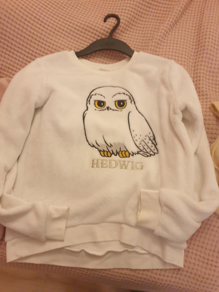 Harry Potter Hedwig Trui - Maat 158/164, Gebruikt, Meisje, Trui of Vest, H&M