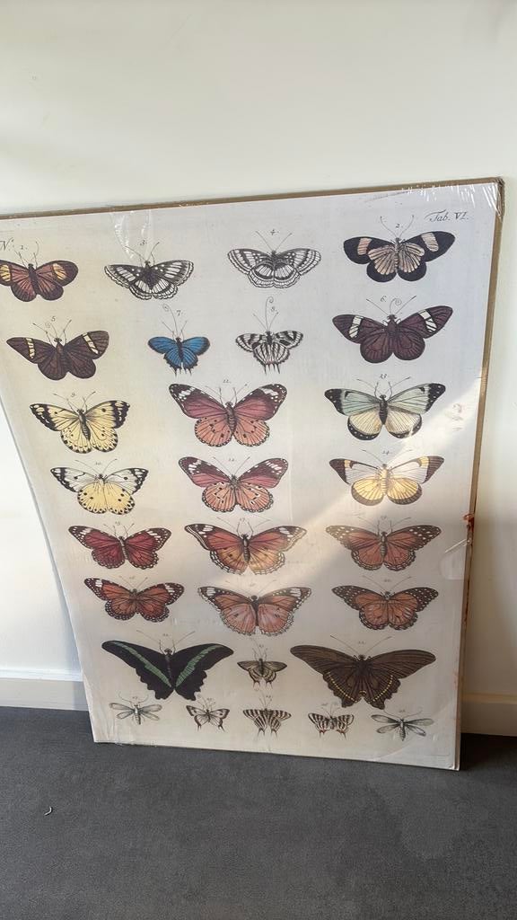 Poster van Vlinders - Ikea 70 x 100 cm, Ophalen of Verzenden, Zo goed als nieuw, A1 t/m A3