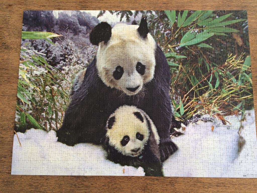 complete puzzel 1000 stukjes PANDA van planet earth, Hobby en Vrije tijd, Denksport en Puzzels, Ophalen of Verzenden, 500 t/m 1500 stukjes