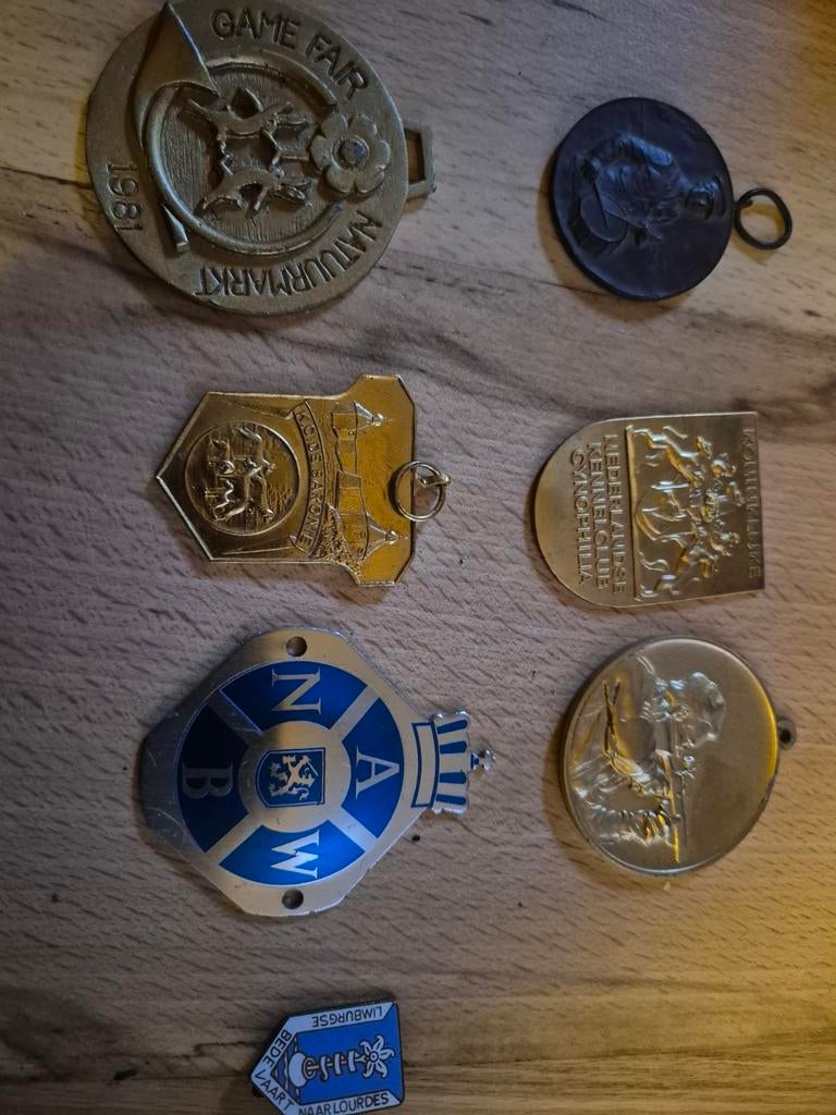 Oude Medailles en Penningen Verzameling, Ophalen of Verzenden, Gebruikt