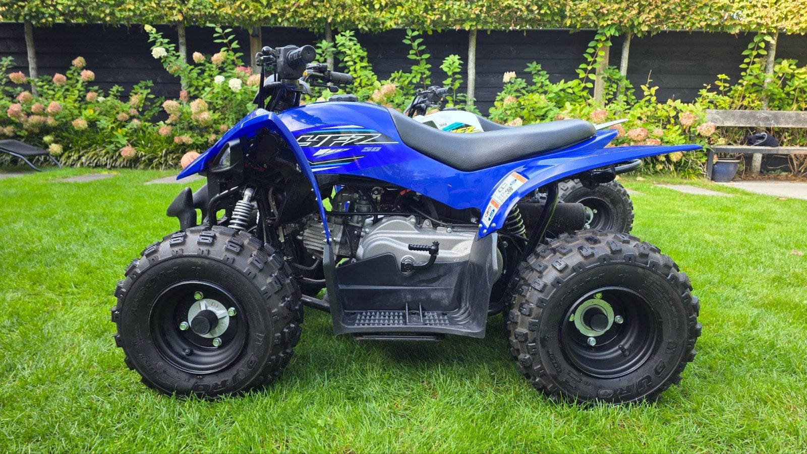 Zeer nette Yamaha yfz50, Motoren
