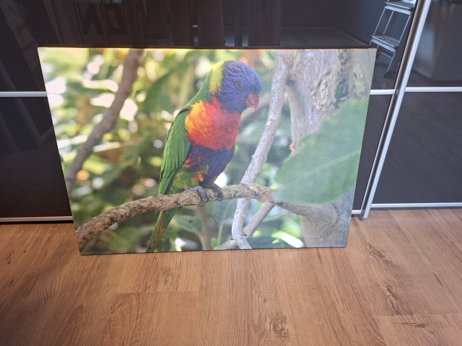 Kleurrijke papegaai op canvas - Prachtige wanddecoratie, Ophalen, 50 – 75, 75 tot 100 cm, Print