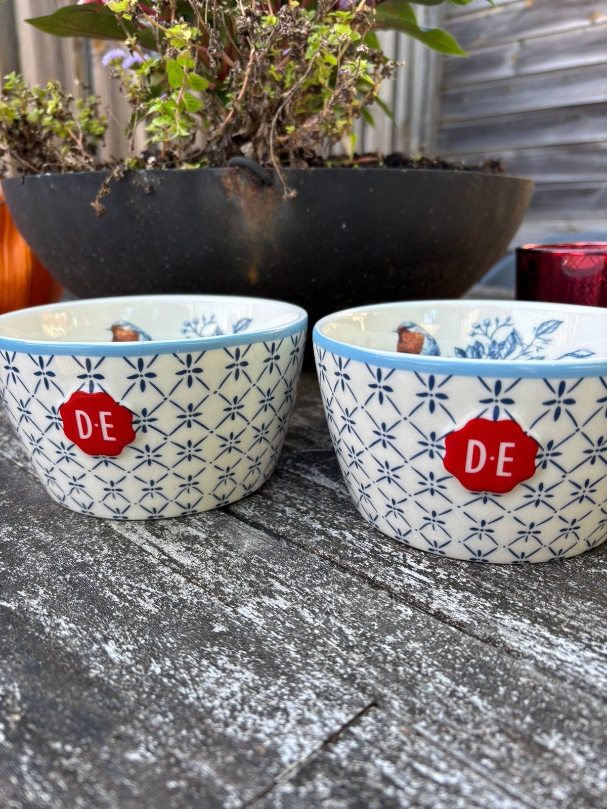 Douwe Egberts 2 grote kommen/ schalen Royal Raja, nieuw, Verzenden, Rond