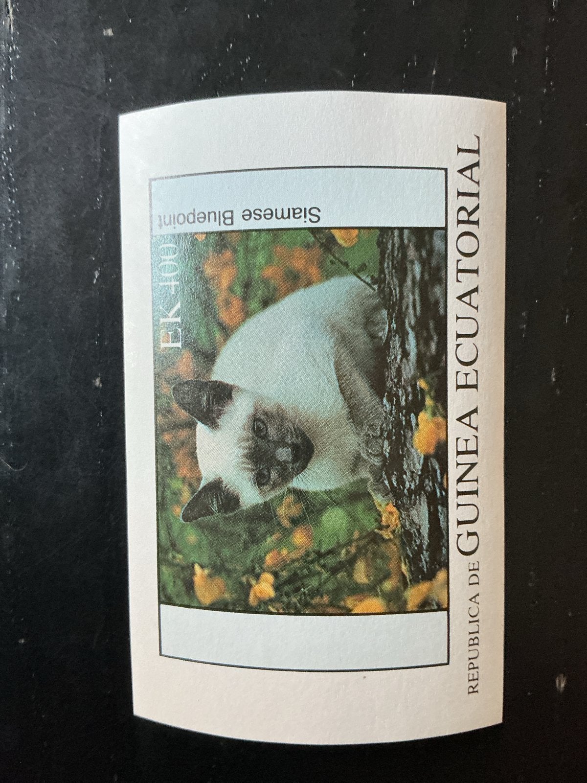 Postzegel Equatoriaal-Guinea - Siamese Bluepoint kat, Ophalen of Verzenden