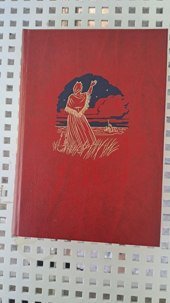 Kathinka Lannoy - De bruid van Scheveningen, Boeken, Ophalen of Verzenden, Gelezen, Kathinka Lannoy, Nederland