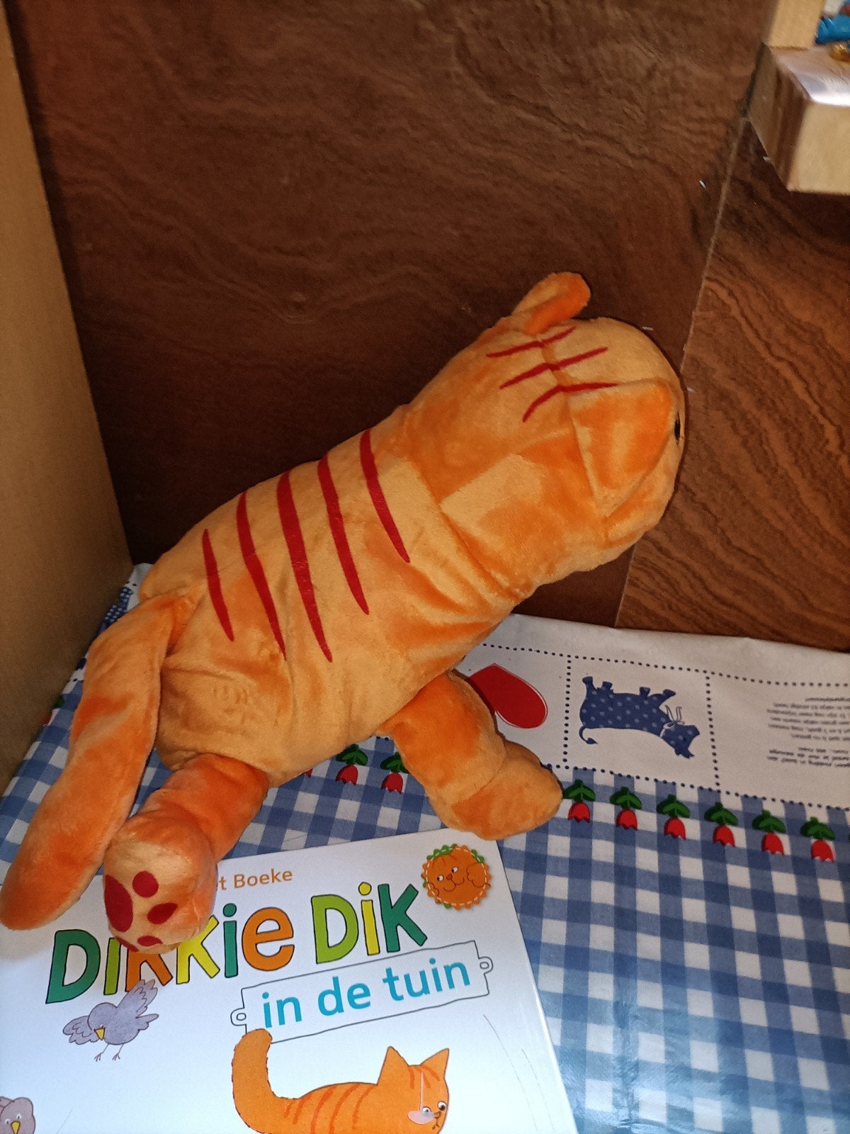 Dikkie Dik knuffel 31 cm groot + boek In de tuin, Ophalen of Verzenden, Zo goed als nieuw, Overige typen
