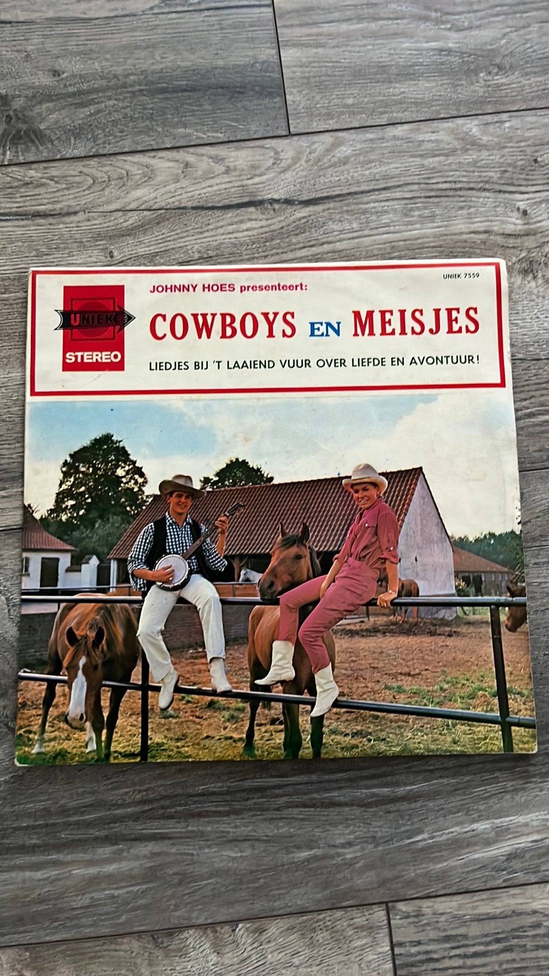 LP Johnny Hoes cowboys en meisjes, Cd's en Dvd's, Vinyl | Overige Vinyl, Ophalen of Verzenden, Zo goed als nieuw, 12 inch