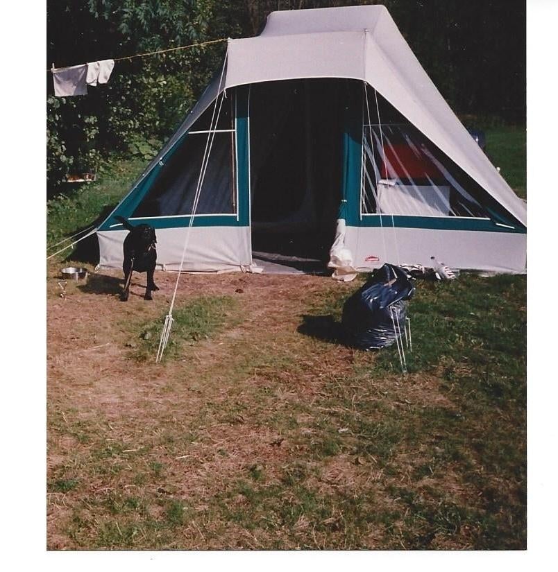 Tent Pyramide Cabanon, Caravans en Kamperen, Tenten, Ophalen, Gebruikt, Tot en met 4