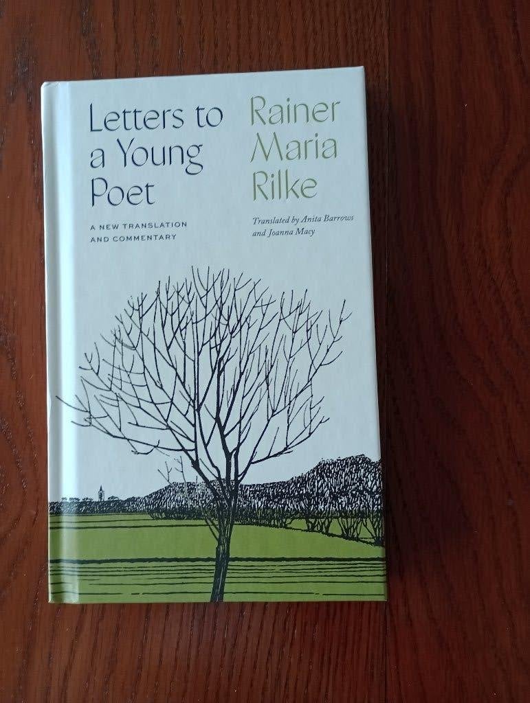 LETTERS TO A YOUNG POET  Rainer Maria Rilke new translation, Nieuw, Ophalen of Verzenden, Rilke, Fictie