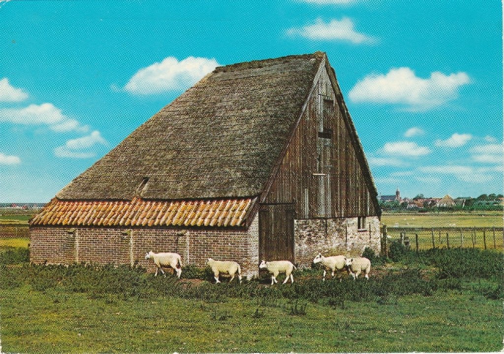 TEXEL Schapenboet (Rechte Rand), Verzenden, 1980 tot heden, Gelopen, Waddeneilanden