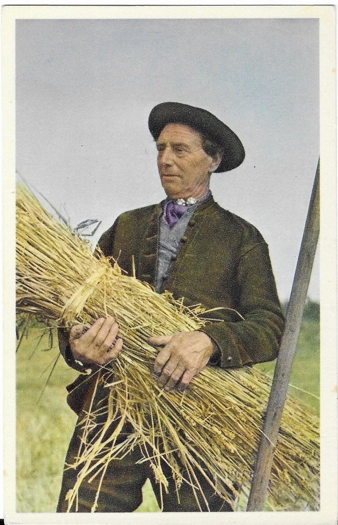 Zeeland, Zeeuwse boer, korenschoof, klederdracht, Verzenden, 1940 tot 1960, Ongelopen, Zeeland