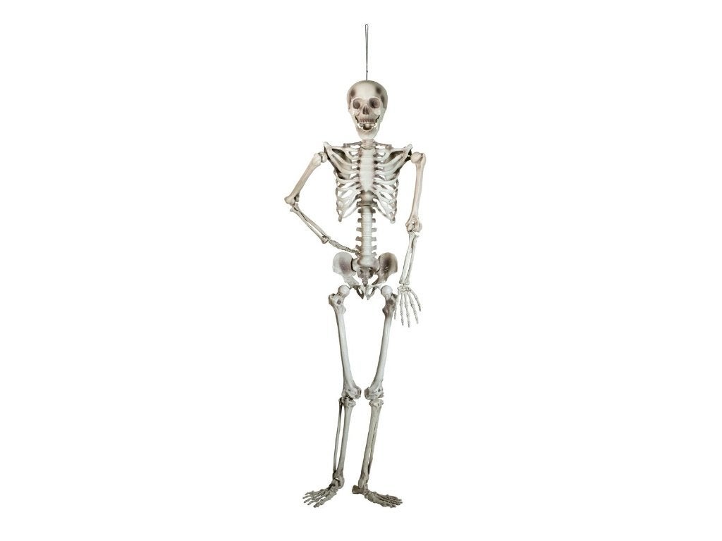 Europalms Halloween skelet 150 cm beweegbaar, Halloween of Griezel, ., Nieuw, Ophalen of Verzenden