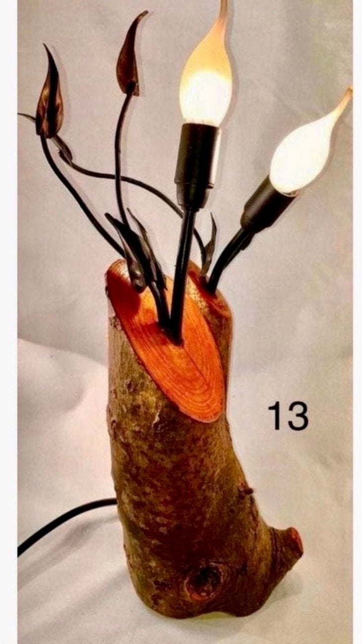 Unieke handgemaakte lamp van fruitboomstronk uit 't Goy, Meerkleurig, E14 (klein), Nieuw, Ophalen of Verzenden