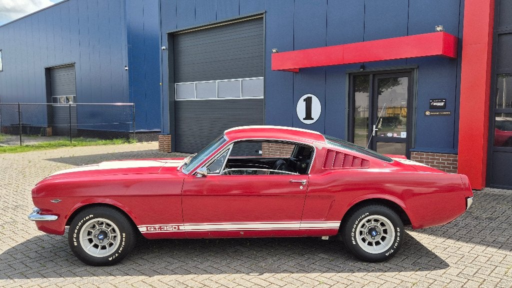 1966 Mustang Fastback "vintage" racer GT350 tribute, Auto's, Automaat, 8 cilinders, Bedrijf, Mustang
