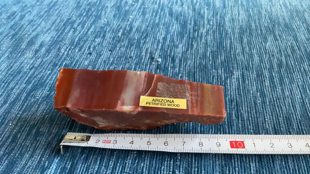 Versteend hout Arizona Petrified Wood .   Ophalen, Ophalen