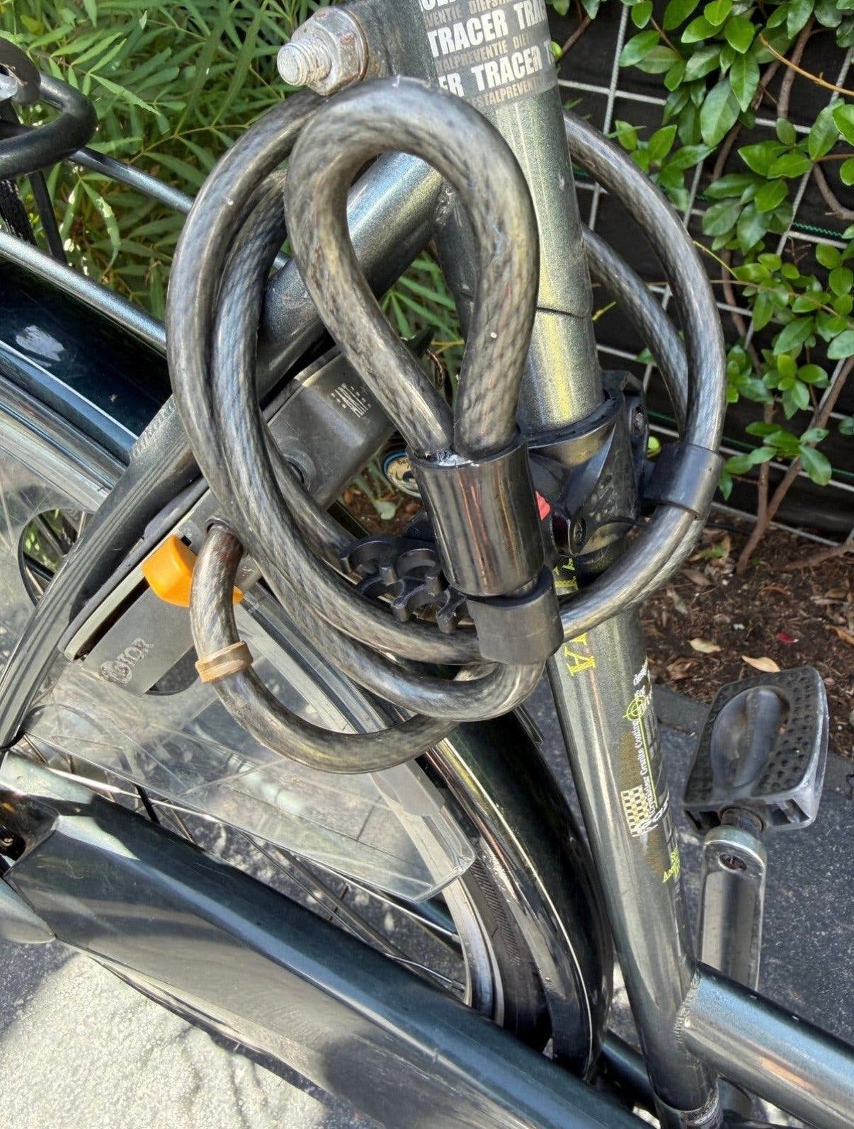 Dames fiets Gazelle “Laguna”, Ophalen, Gebruikt