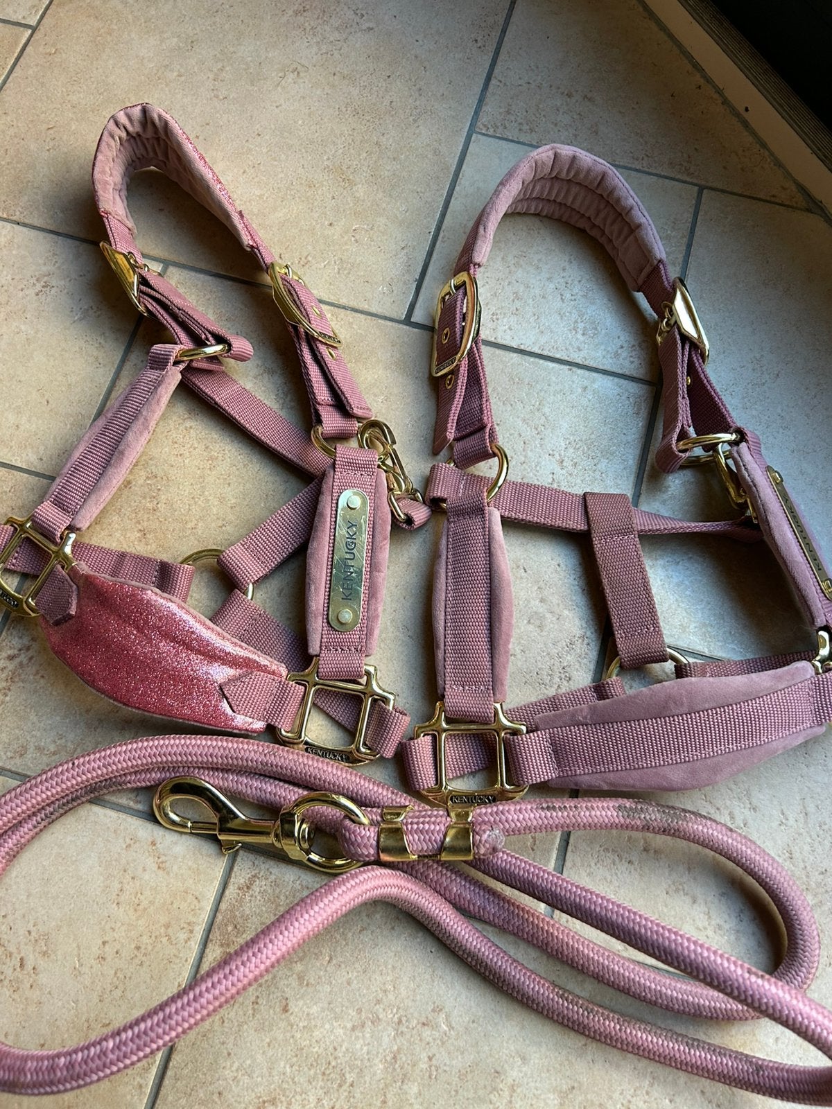 Roze kentucky halster Shetlander, Shetlander, Ophalen of Verzenden, Zo goed als nieuw, Halster