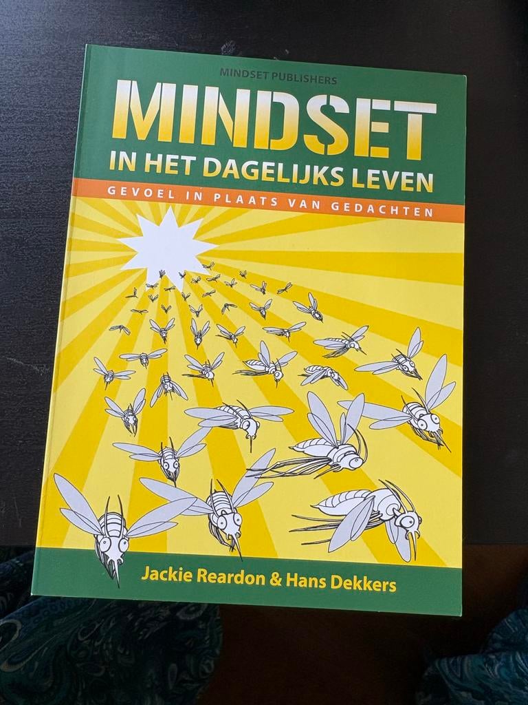 Boek Mindset in het Dagelijks Leven, Ophalen of Verzenden, Zo goed als nieuw, Spiritualiteit algemeen, Instructieboek