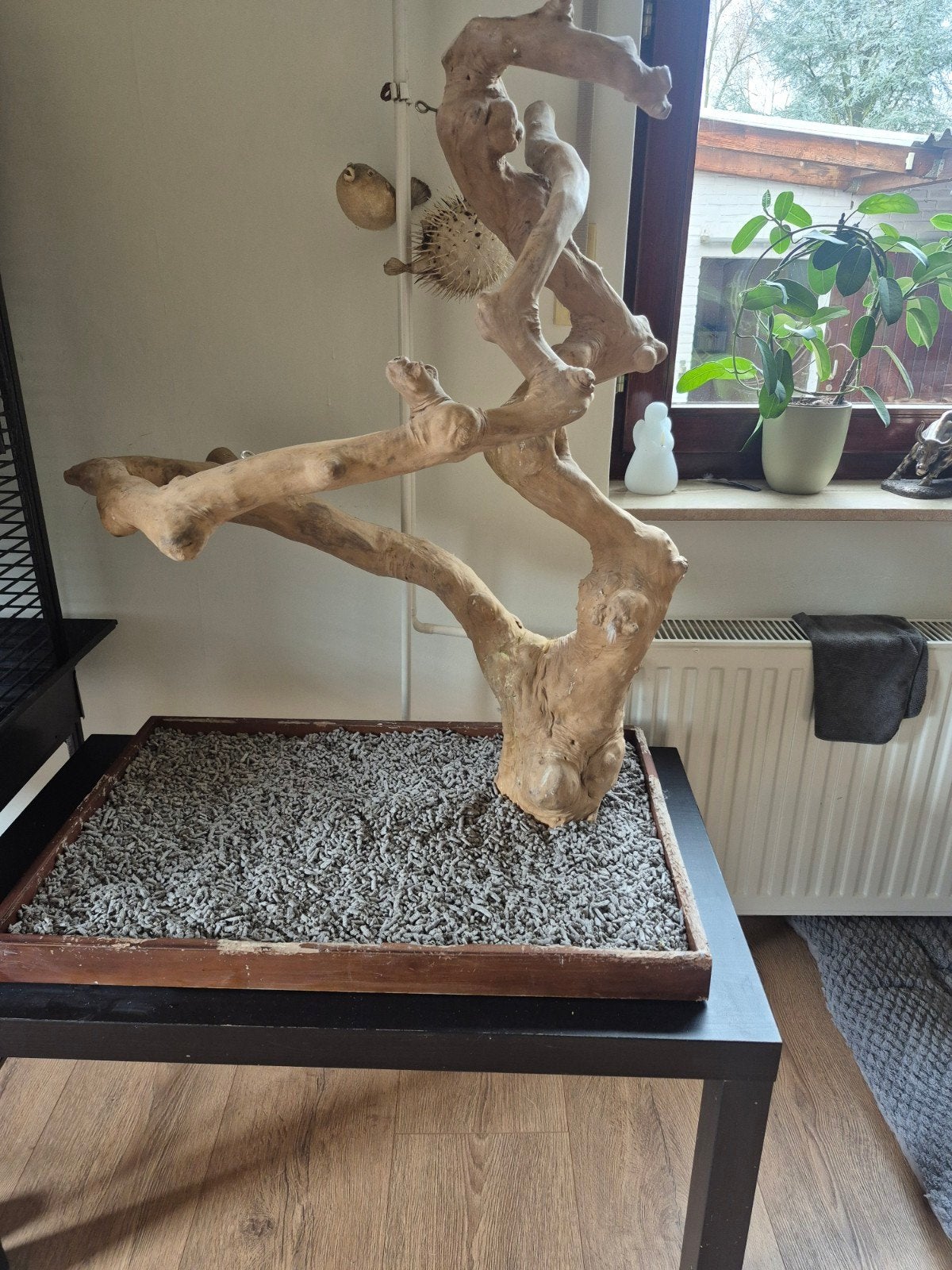 Javaboom xl tafel model, Dieren en Toebehoren, Vogels | Toebehoren, Ophalen of Verzenden