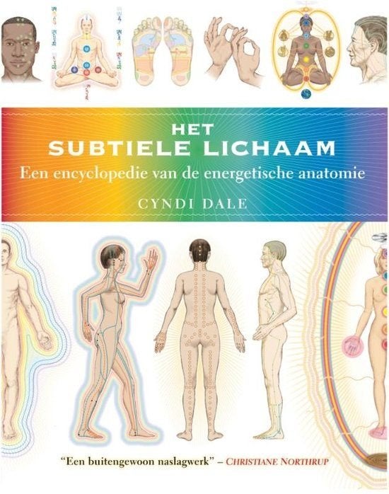 Het subtiele lichaam, Achtergrond en Informatie, Spiritualiteit algemeen, Ophalen of Verzenden, Zo goed als nieuw