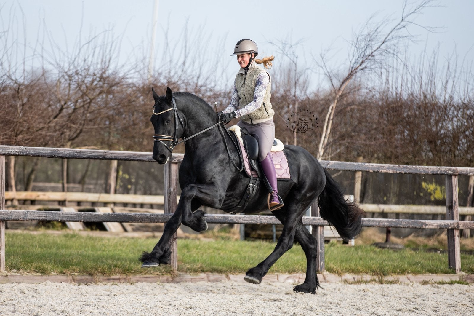 Friese ruin 3 jaar Wolter X Bente Bomproof, Dieren en Toebehoren, Ruin, Recreatiepaard, 3 tot 6 jaar