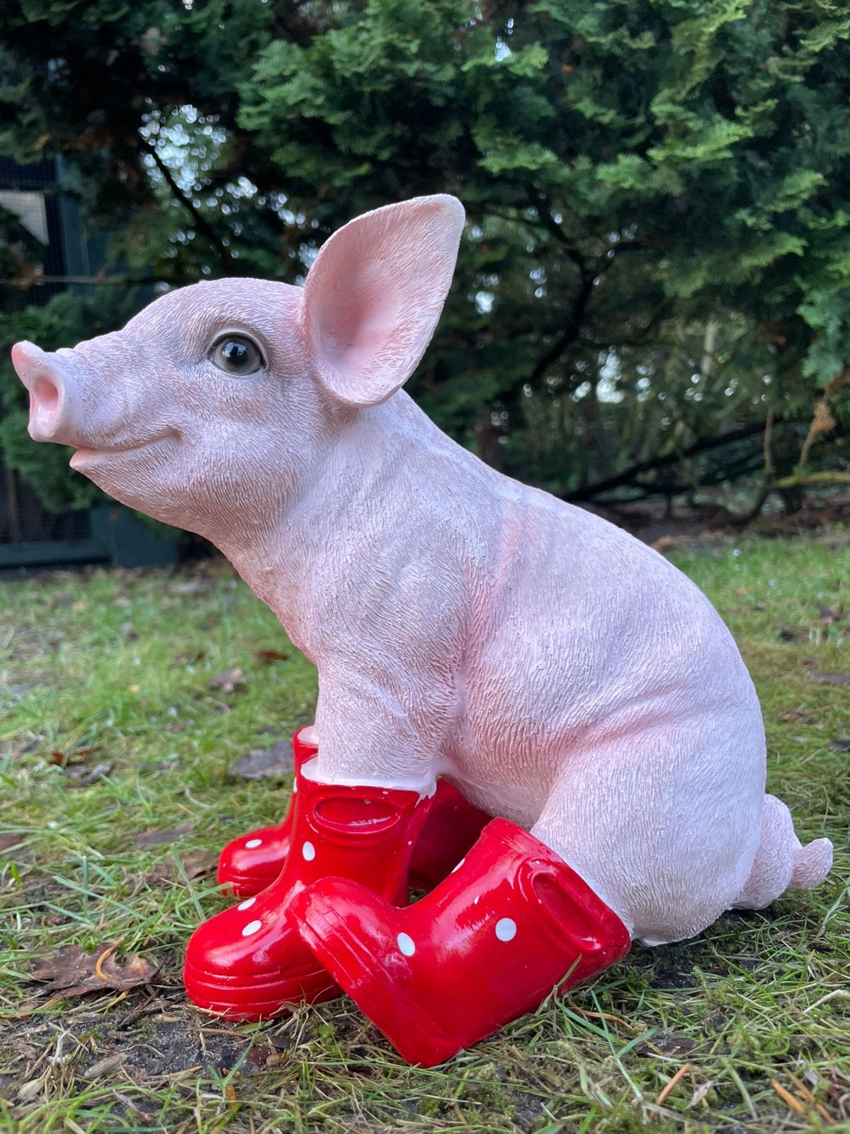 Varken rode regenlaarsjes beeld tuin boerderij boer big wei, Ophalen of Verzenden, Nieuw, Kunststof, Dierenbeeld
