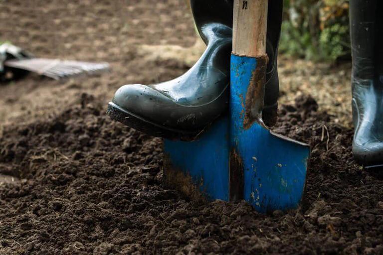 Gezocht: schone grond modder tuinaarde zwarte grond (gratis), Tuin en Terras, Aarde en Mest, Tuinaarde, Ophalen