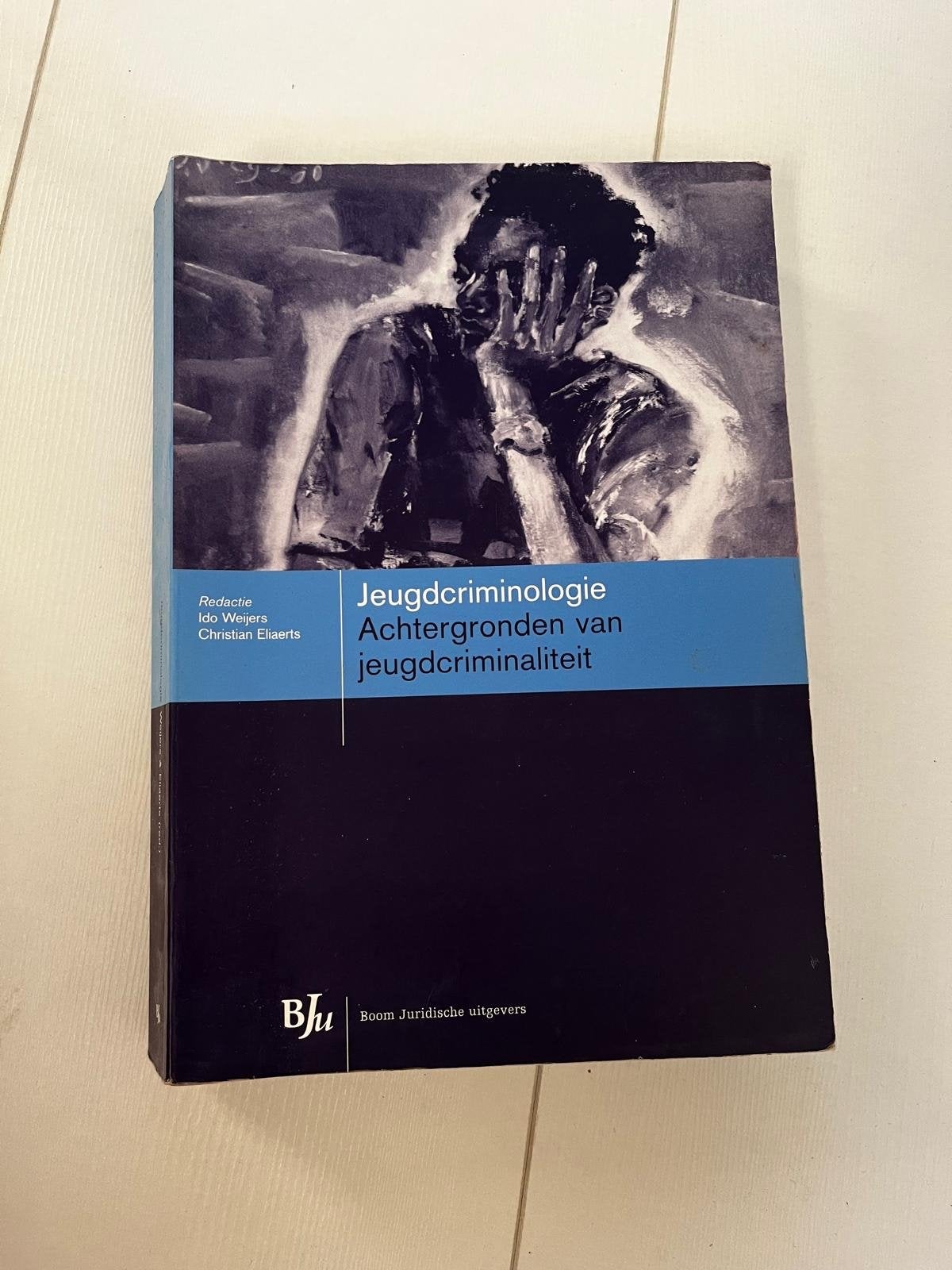 Jeugdcriminologie: Achtergronden van jeugdcriminaliteit, Boeken, Ophalen, Gamma, Zo goed als nieuw, HBO