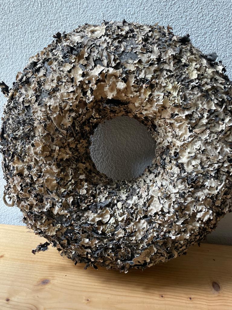 Decoratieve Krans van Natuurlijk korstmos, Huis en Inrichting, Woonaccessoires | Kransen, Ophalen of Verzenden, Zo goed als nieuw