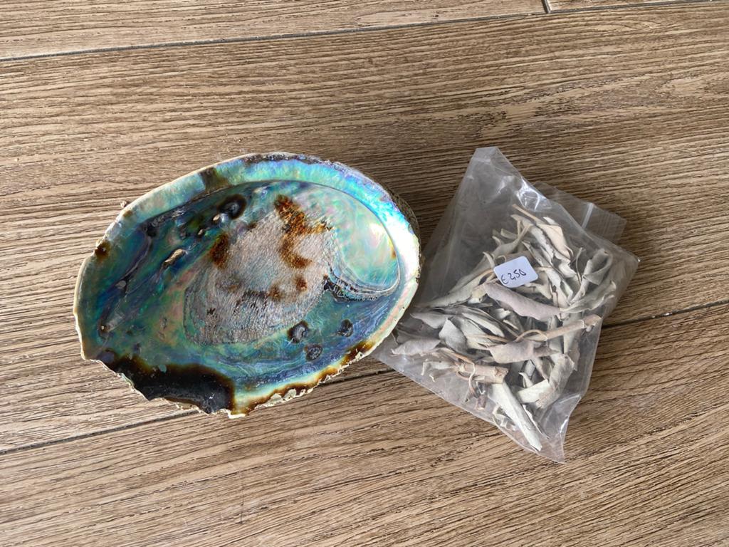 Abalone schelp groot witte salie, Ophalen of Verzenden, Nieuw
