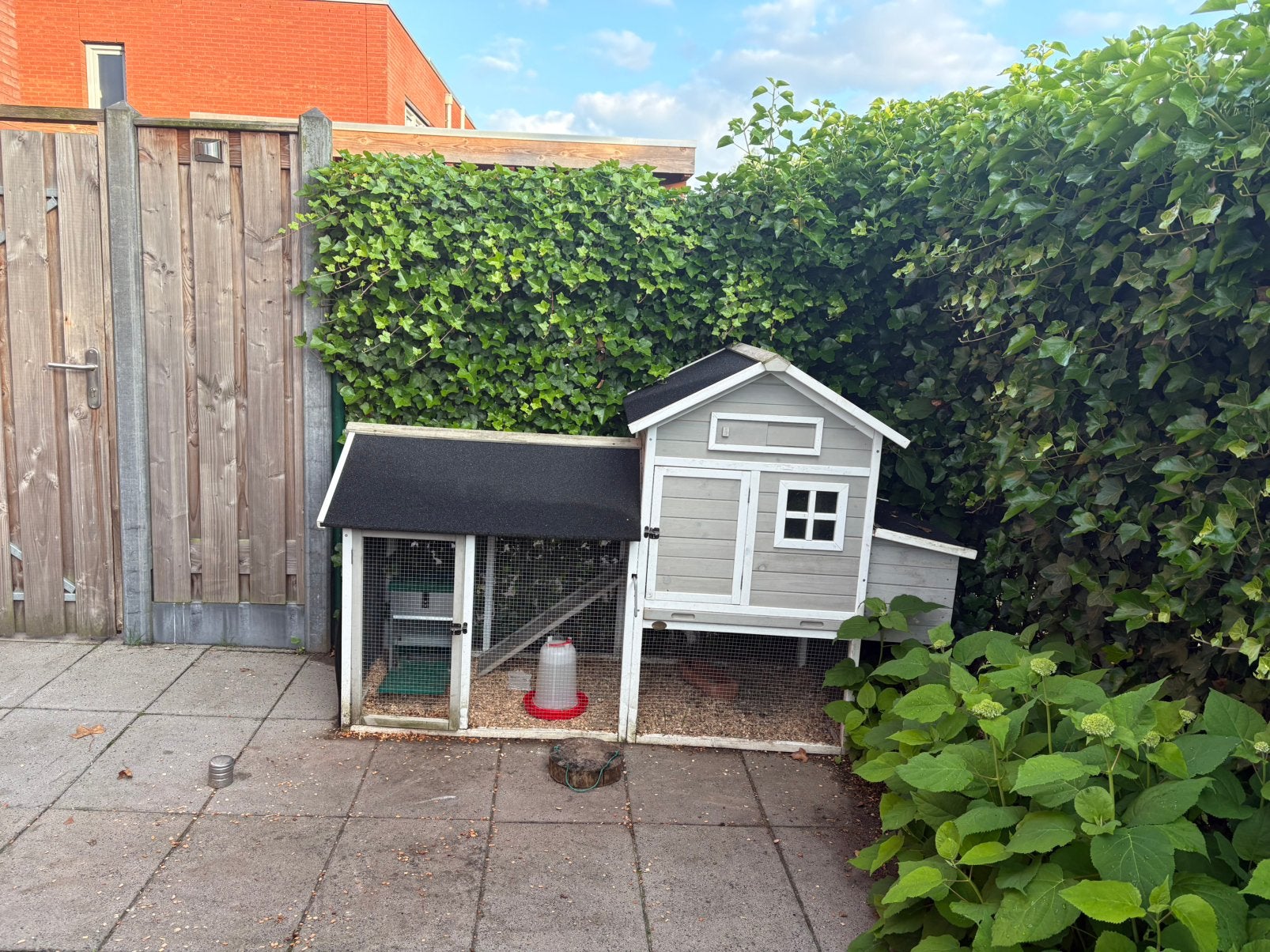 Te koop: Kippenhok met toebehoren, Geslacht onbekend, Kip