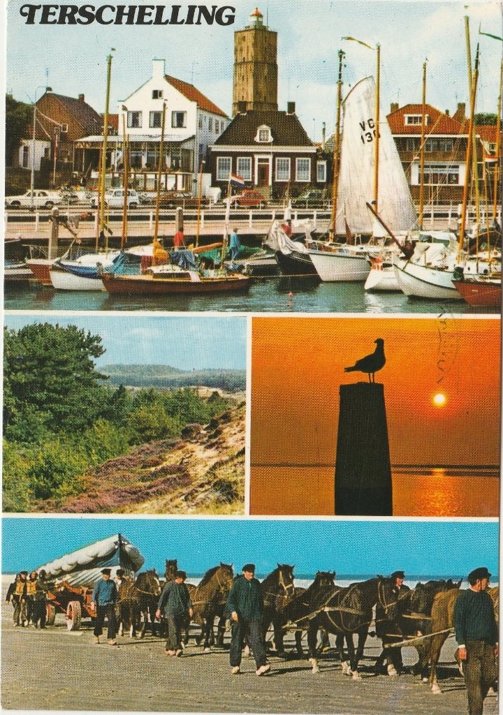 TERSCHELLING Haven Duin Reddingsboot Paarden, Verzenden, 1980 tot heden, Gelopen, Waddeneilanden