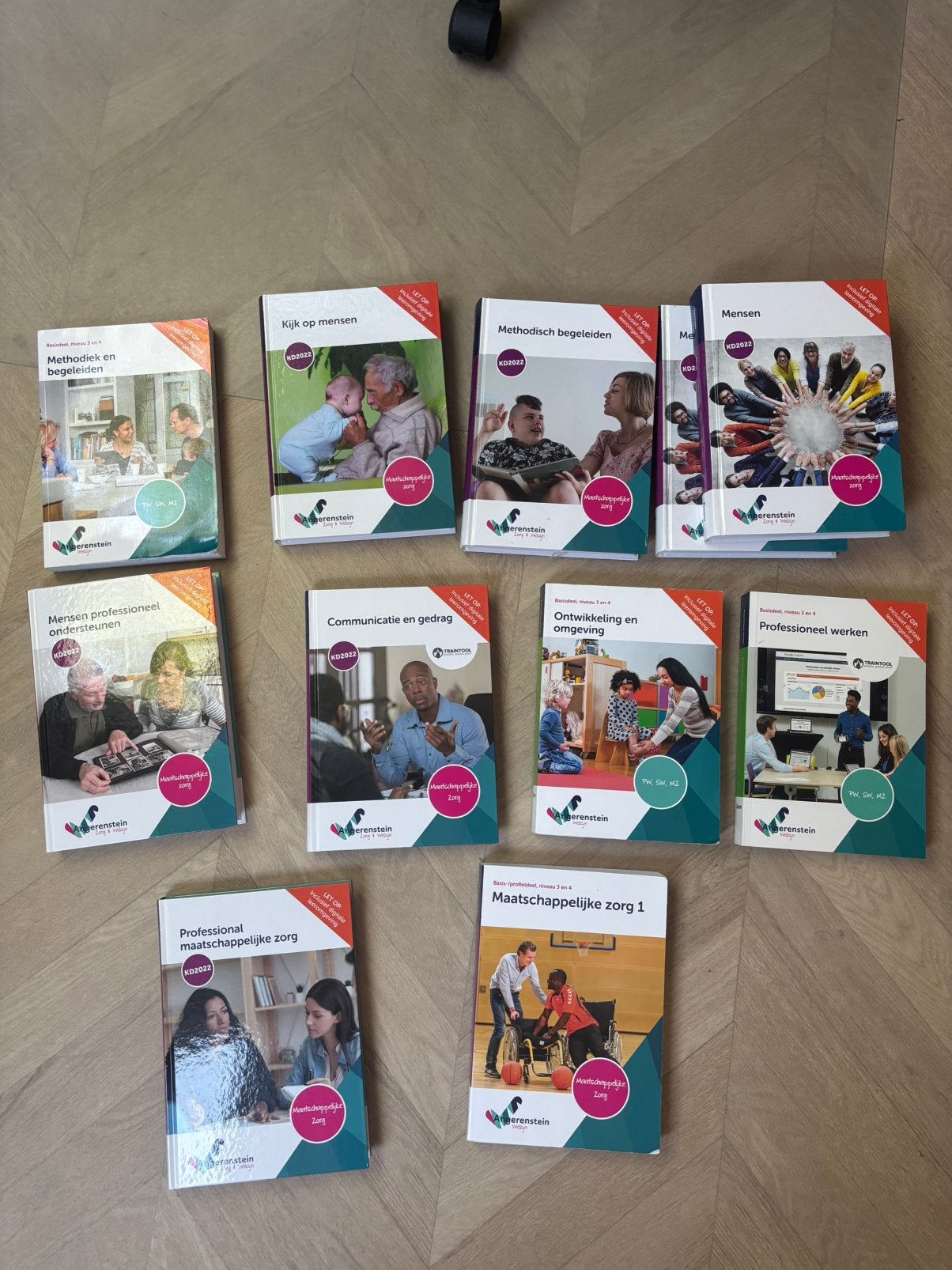 Angerenstein studieboek, Ophalen of Verzenden, Beta, Zo goed als nieuw, Overige niveaus