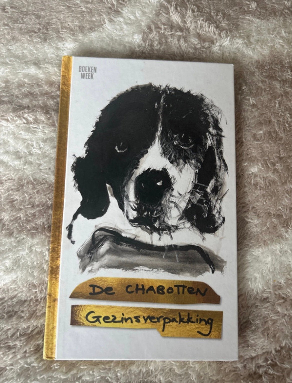 Gezinsverpakking | los exemplaar Boekenweekgeschenk 2024, Boeken, Ophalen of Verzenden, Zo goed als nieuw, De Familie Chabot