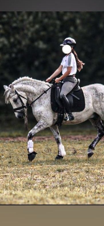 Verzorg pony aangeboden, Ophalen of Verzenden, Zo goed als nieuw