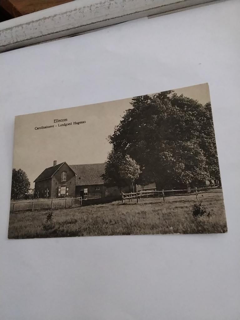 ELLECOM.  1921 CAROLINAHOEVE LANDGOED HAGENAU, Ophalen of Verzenden, 1920 tot 1940, Zuid-Holland