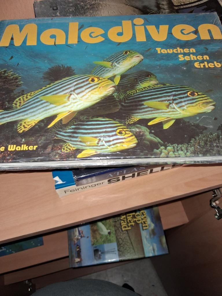 Malediven: Tauchen Sehen Erleben - Monique Walker, Ophalen of Verzenden, Reisgids of -boek, Monique Walker, Azië