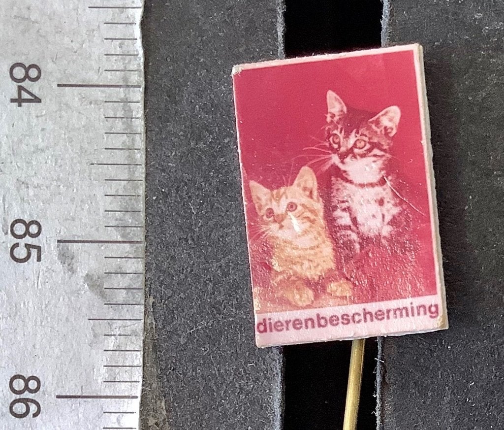 speld, Dierenbescherming 2 jonge poesjes (AW, Ophalen of Verzenden, Gebruikt, Dier of Natuur, Speldje of Pin
