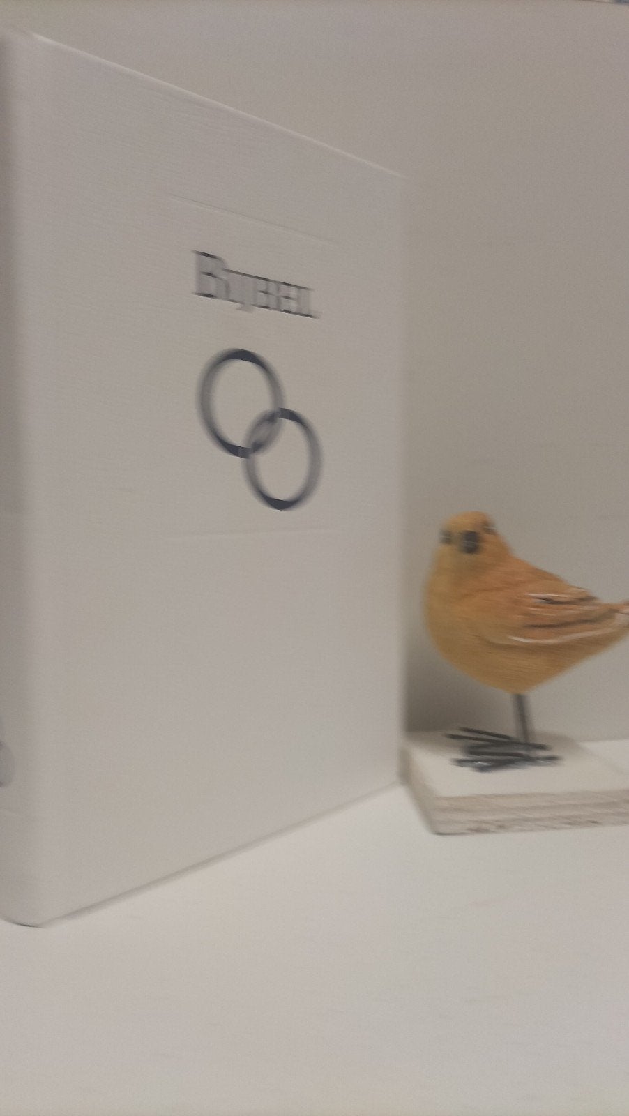 Bijbel, Witte  Trouwbijbel (Nieuwe Bijbelvertaling 2004), Ophalen of Verzenden, Gelezen, Christendom | Protestants