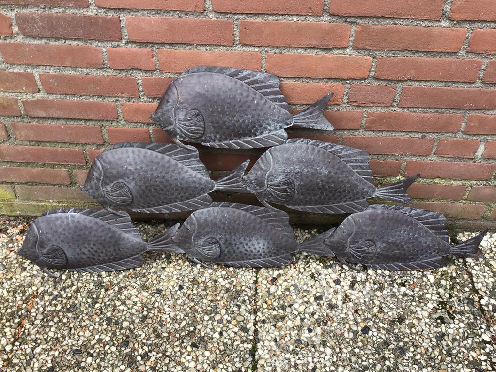 Vissen als wanddecoratie, Ophalen, Zo goed als nieuw