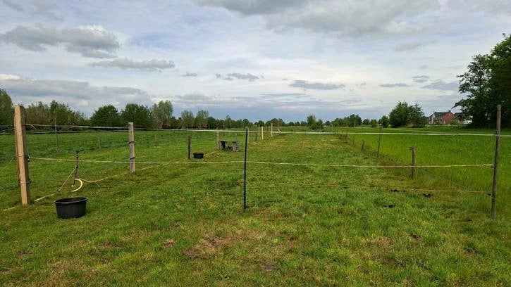 meerdere plekken beschikbaar in eigen beheer half pension, Stalling, 2 of 3 paarden of pony's