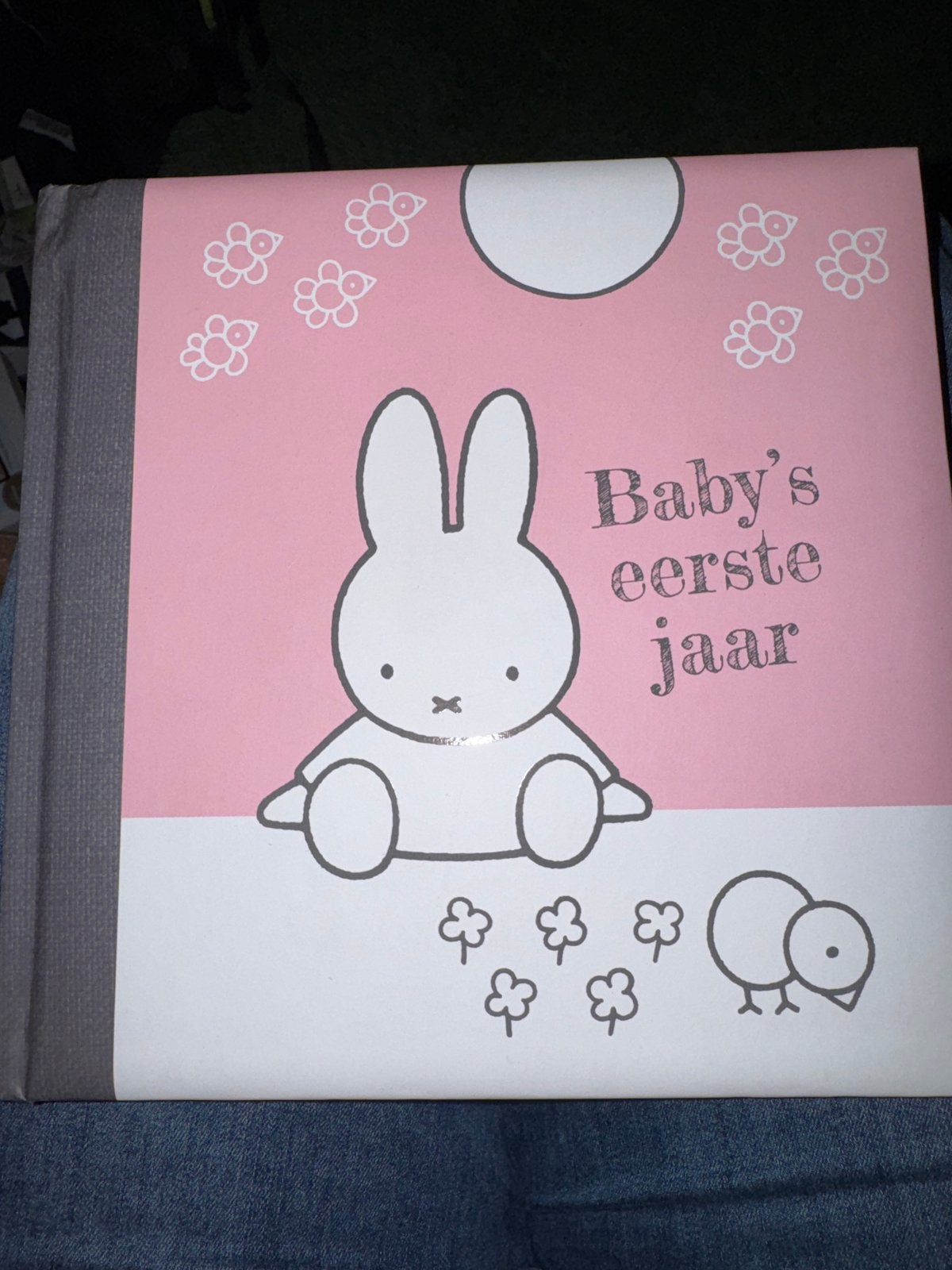 Nijntje Baby's eerste jaar invulboek - Roze, Ophalen of Verzenden, Nieuw, 0 tot 6 maanden