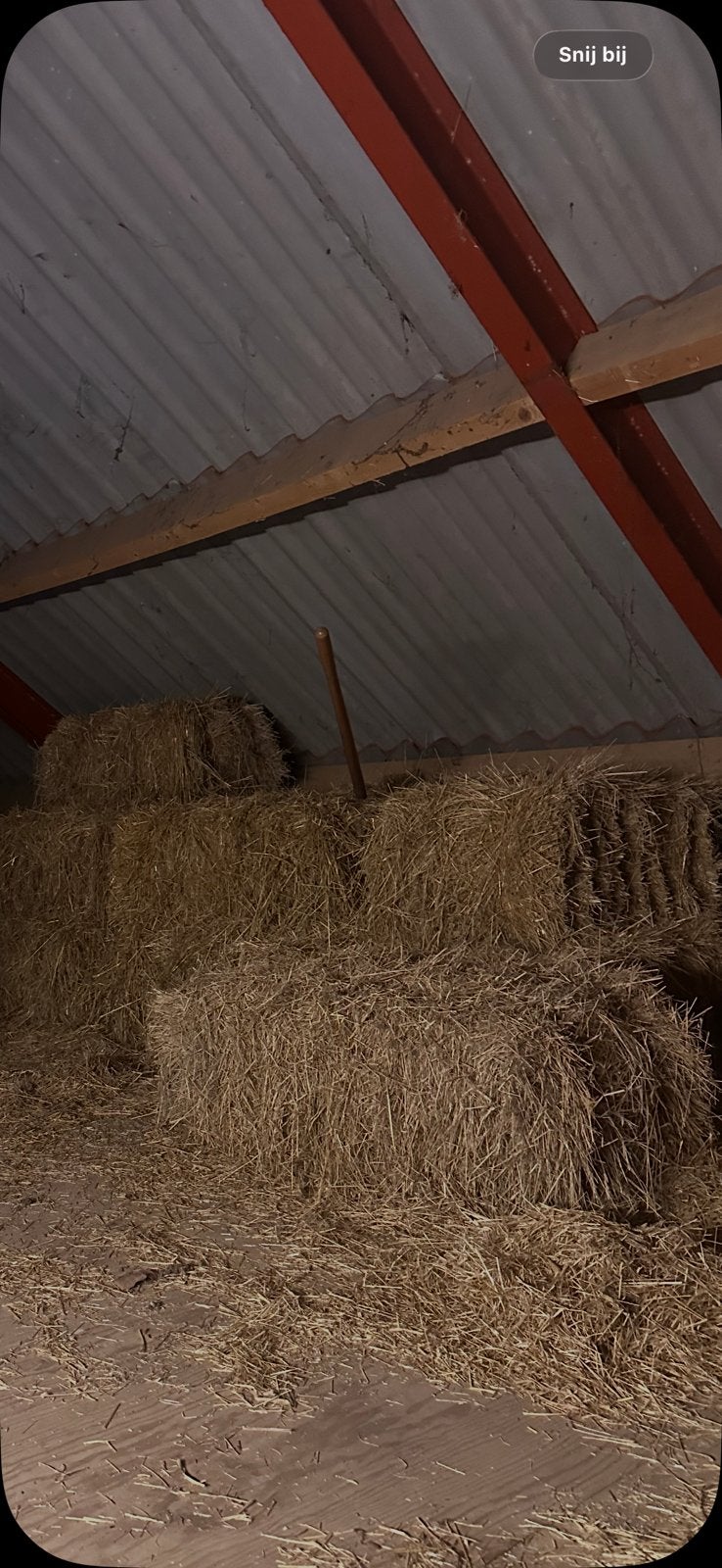 Hooi gratis 50 balen, Ophalen, Vee