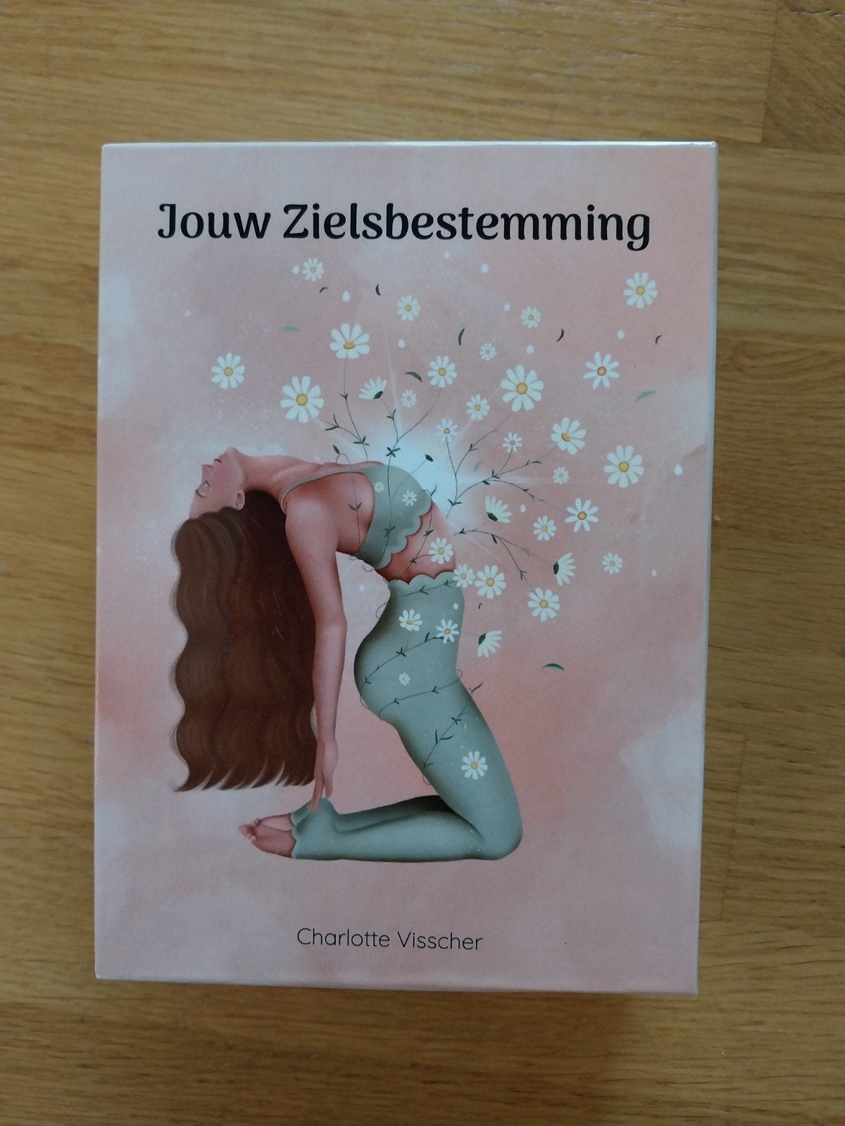 Jouw zielsbestemming - Charlotte Visscher, Ophalen, Zo goed als nieuw, Tarot of Kaarten leggen, Overige typen