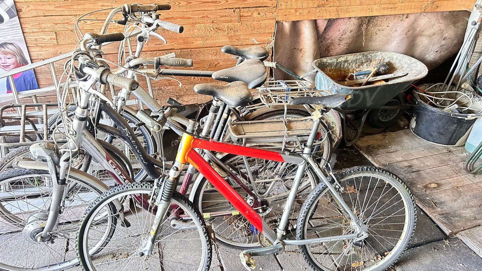 Fietsen 4x bellingwolde over de grens, Ophalen