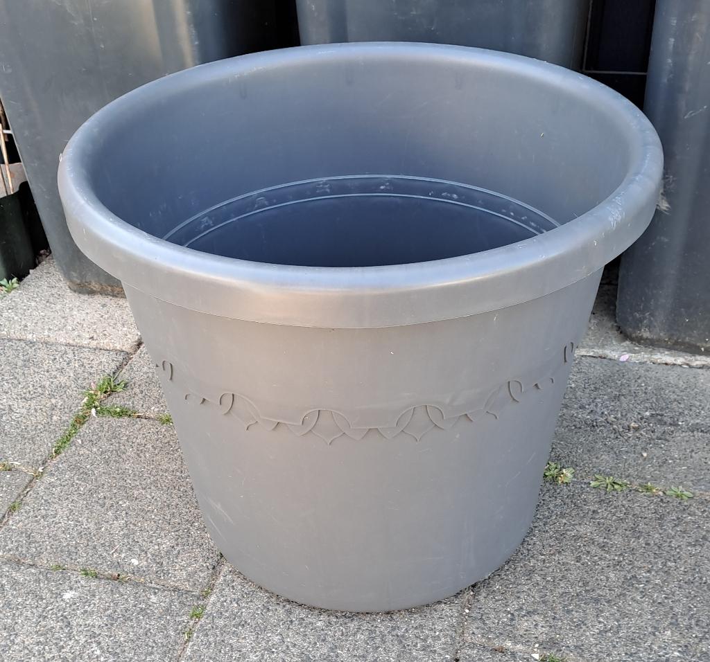 Elho Grote pot met wieltjes, Tuin en Terras, Bloembakken en Plantenbakken, Ophalen, Kunststof, Rond, Zo goed als nieuw