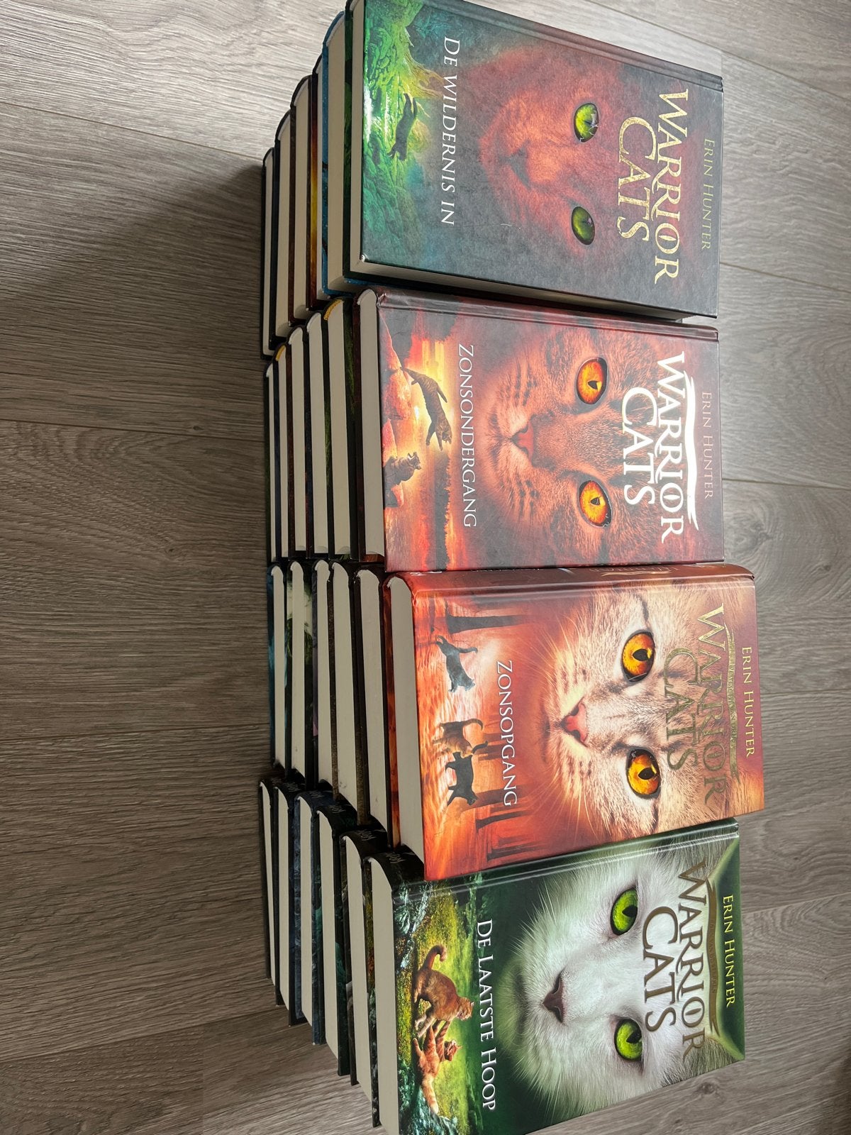 Serie 1 t/m 4 Warrior Cats hardcover Erin Hunter, Boeken, Ophalen, Zo goed als nieuw, Nederland