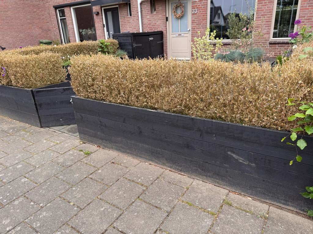 Gratis zwarte houten plantenbakken met scharnierende poort, Tuin en Terras, Ophalen, Gebruikt, 100 cm of meer, Balkon