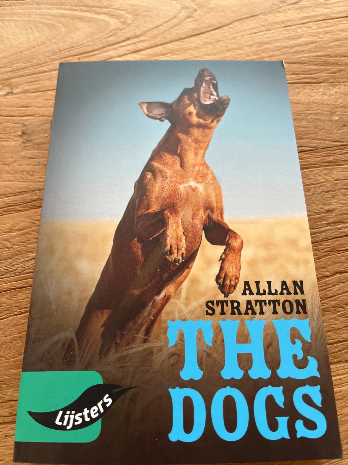 The Dogs - Allan Stratton (Lijsters), Ophalen of Verzenden, Nieuw, Fictie